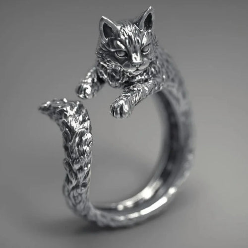 Anillo de Gato Doméstico