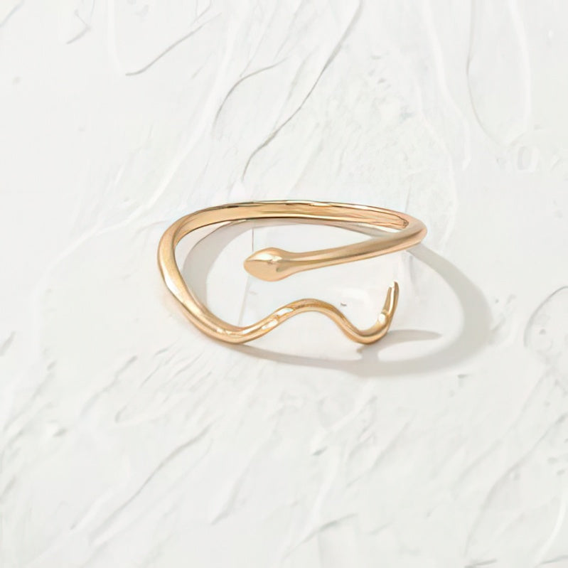 Anillo Serpiente 