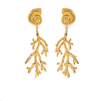 Pendientes Colgantes de Concha y Coral