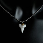 Collar con Colgante de Diente de Tiburón Blanco