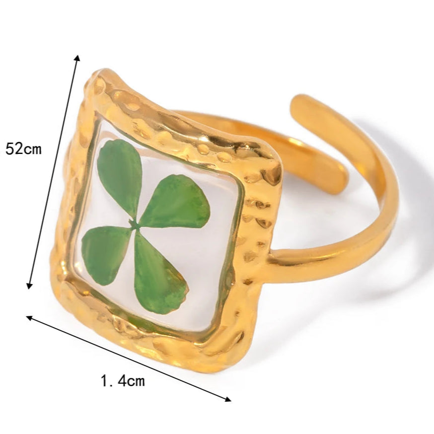 Gran Anillo de Flor en Marco Transparente